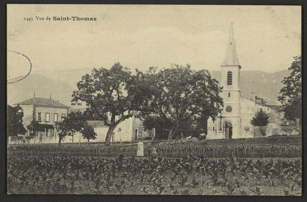 Vue de Saint-Thomas