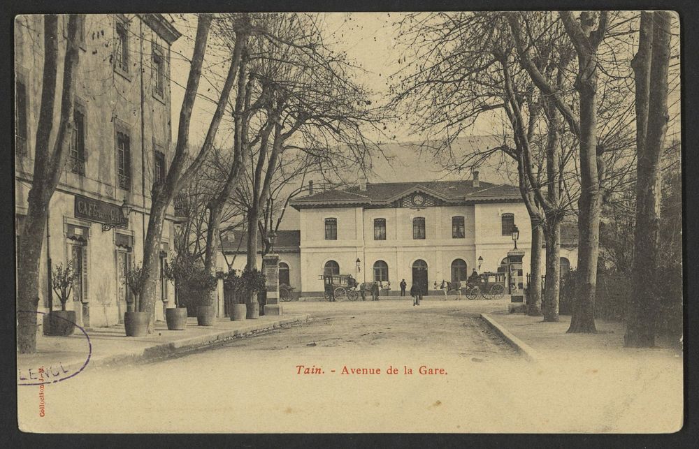 Tain. - Avenue de la Gare