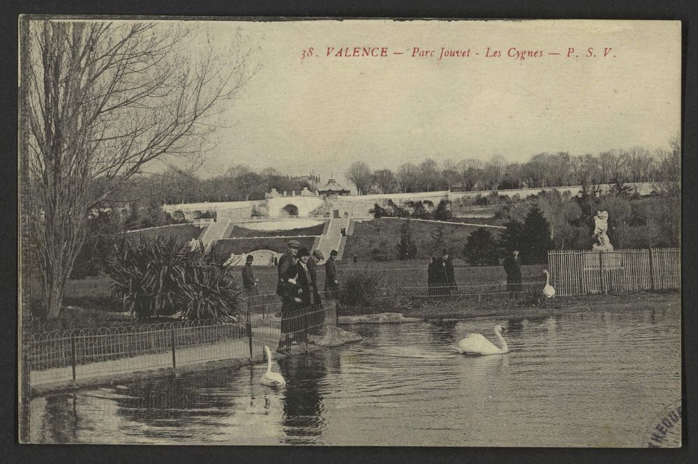 Valence - Parc Jouvet - Les cygnes