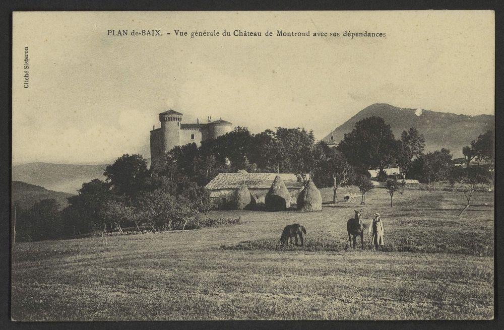 Plan-de-Baix - Vue générale du château de Montrond avec ses dépendances
