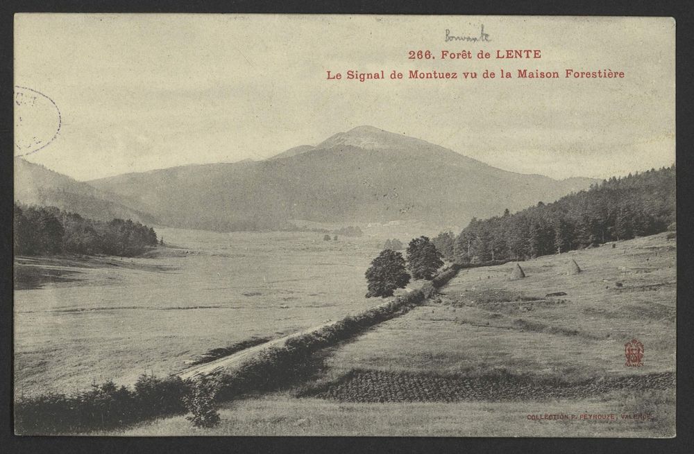 Forêt de Lente - Le Signal de Montuez vu de la Maison Forestière