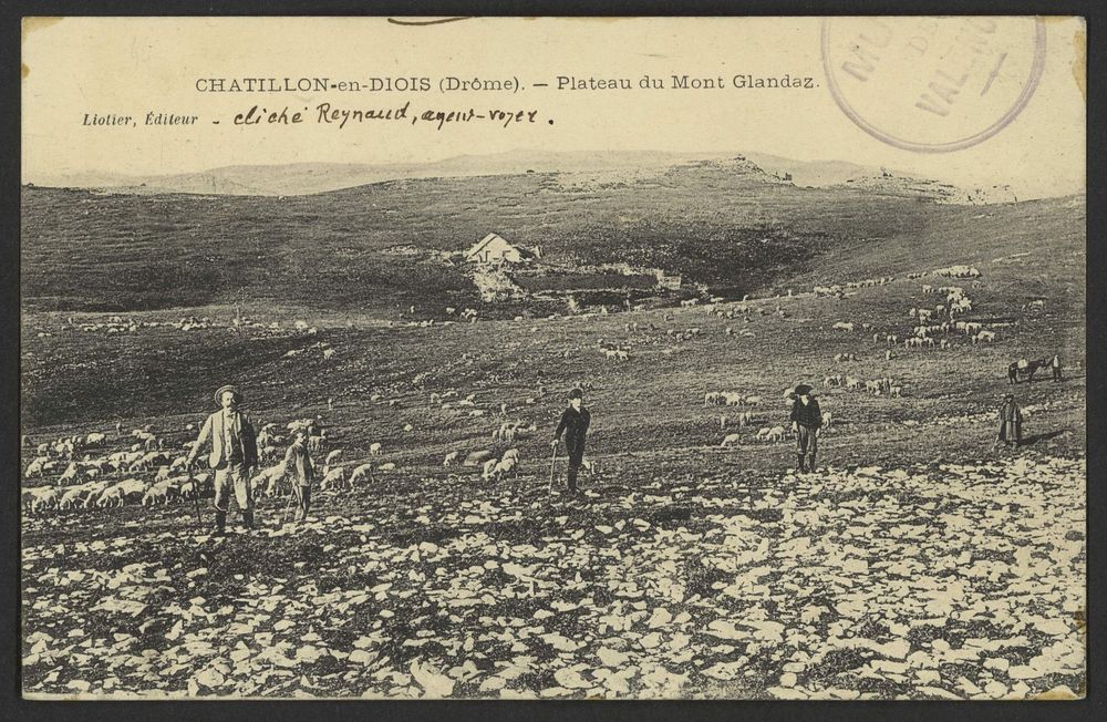 Chatillon-en-Diois (Drôme). - Plateau du Mont Glandaz