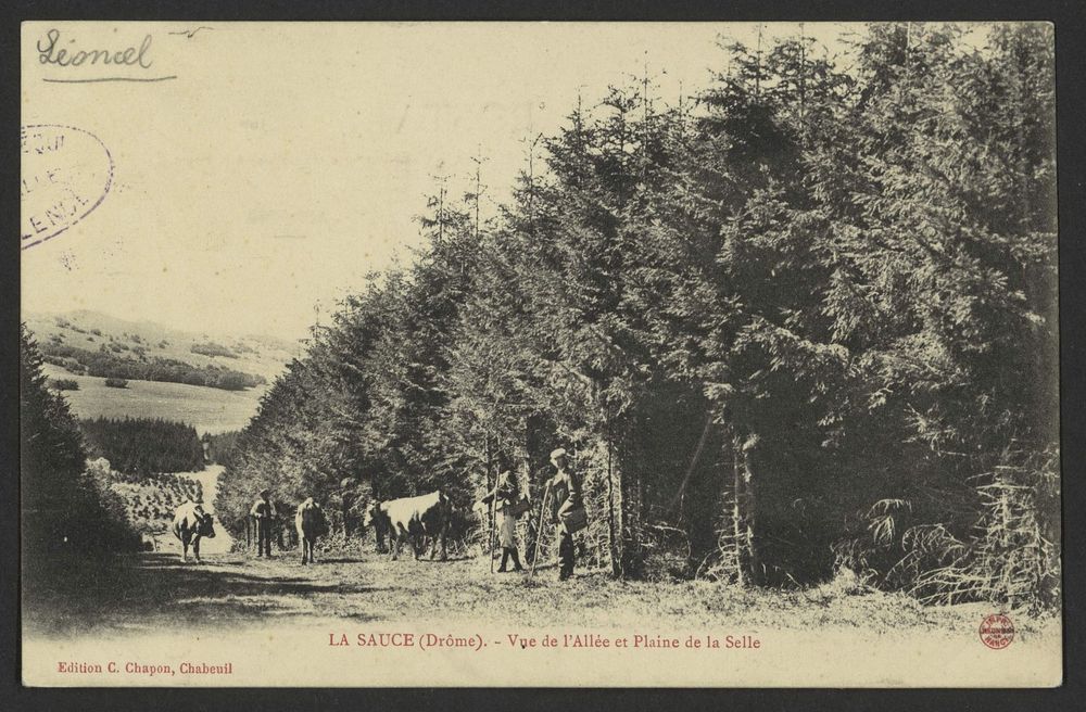 La Sauce (Drôme) - Vue de l'allée et plaine de la Selle