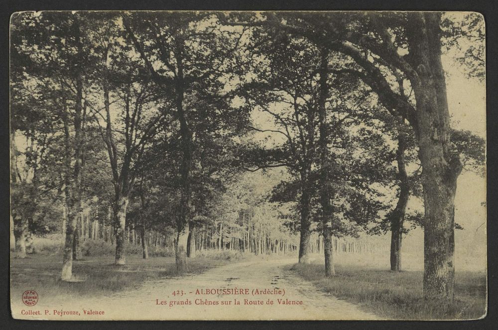 Alboussière (Ardèche) Les grands Chênes sur la Route de Valence