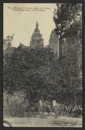 Vieux Nyons - Vue du jardin de l'ancien Château des Barons de Montauban