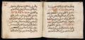 Manuscrit islamique XVIe siècle - MS39