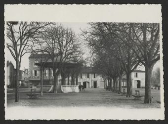 Le quai des marronniers à Crest, face à l'est