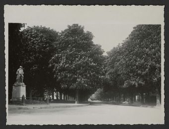 Monument aux morts 1914-1918 et allée des promenades (marronniers)