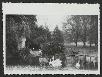 Le parc Jouvet. Au fond, le clocher de la cathédrale