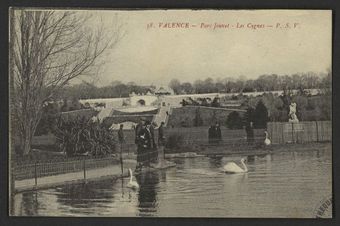 Valence - Parc Jouvet - Les cygnes