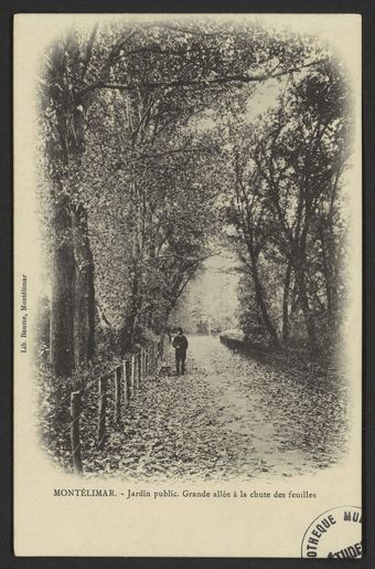 Montélimar - Jardin public - Grande allée à la chute des feuilles