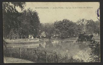 Montélimar - Jardin public - Le lac vue de l'allée de mélèzes