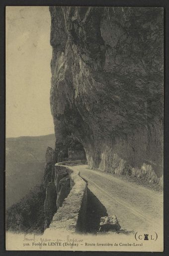 Forêt de Lente (Drôme) - Route forestière de Combe-Laval