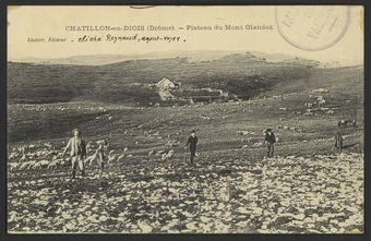 Chatillon-en-Diois (Drôme). - Plateau du Mont Glandaz