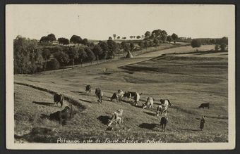 Pâturage près de Saint-Agrève (Ardèche)