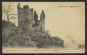 Les Ruines du Château de la Tourrette