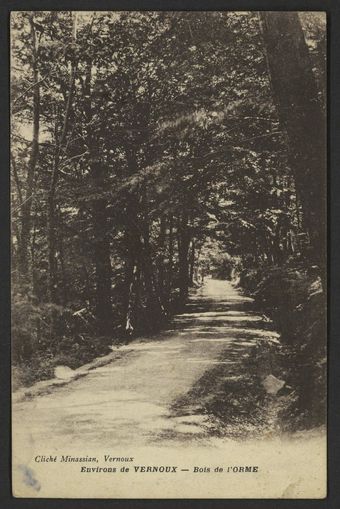 Environs de Vernoux - Bois de l'Orme