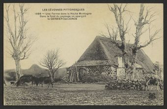 Une Ferme dans la Haute Montagne