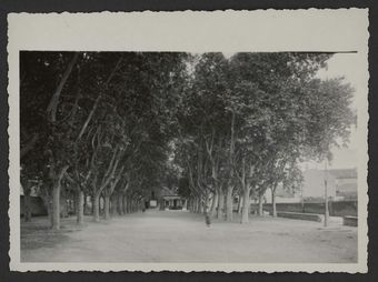 Place du Champ de Mars de Donzère bordée de platane