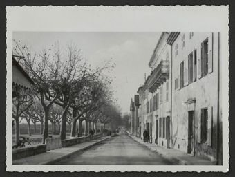 Rue d'un village de la Drôme et allée de platanes
