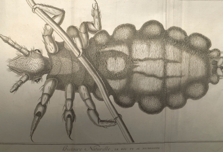 L'Encyclopédie  ou Dictionnaire raisonné des sciences, des arts et des métier de Diderot et d'Alembert