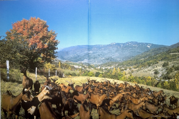 Au-dessus de Bouvières (Canton de Bourdeaux)