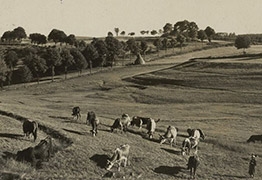 Vues et paysages